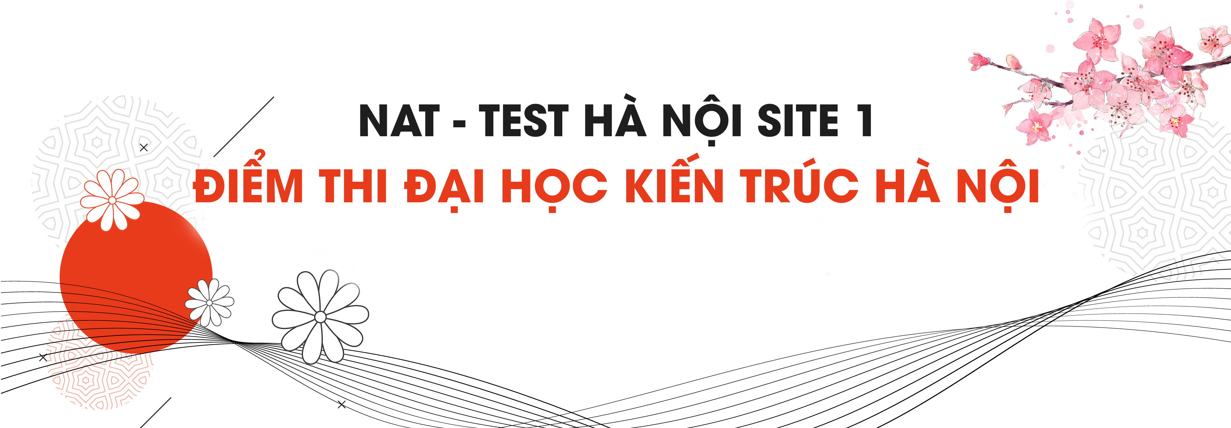 Nattest Việt Nam